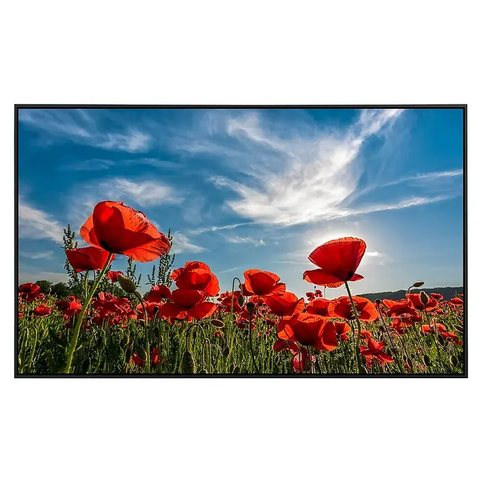 Papermoon Infrarot-Bildheizkörper Mohnblumenfeld80 x 60 cm, 450 W - Der TV zeigt ein Feld von roten Mohnblumen unter einem strahlend blauen Himmel. Die lebendigen Farben stechen auf dem Bildschirm hervor.