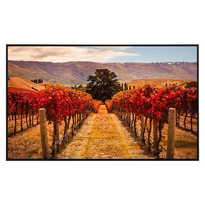 Papermoon Infrarot-Bildheizkörper Herbst Weinberg - 120 x 60 cm, 1.000 W - Rot gefärbte Weinreben im Herbst, die sich malerisch vor einer Hügellandschaft erstrecken. Die Pflanzen sind ein echter Blickfang.