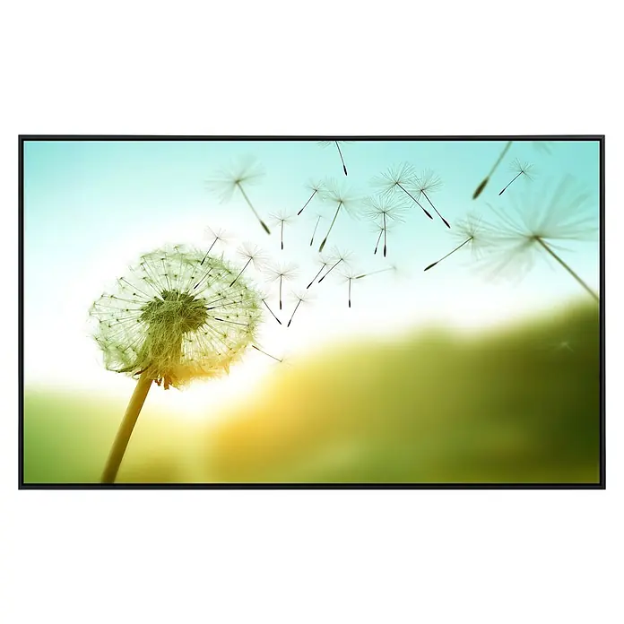 Papermoon Infrarot-Bildheizkörper Löwenzahn im Wind 2 - 60 x 50 cm, 350 W - Schwarzer Monitor mit dem Bild eines Löwenzahns, dessen Samen im Wind fliegen. Scharfes und farbenfrohes Bild für ein optimales Seherlebnis.