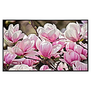 Papermoon Infrarot-Bildheizkörper Magnolienblumen (60 x 60 cm, 350 W)