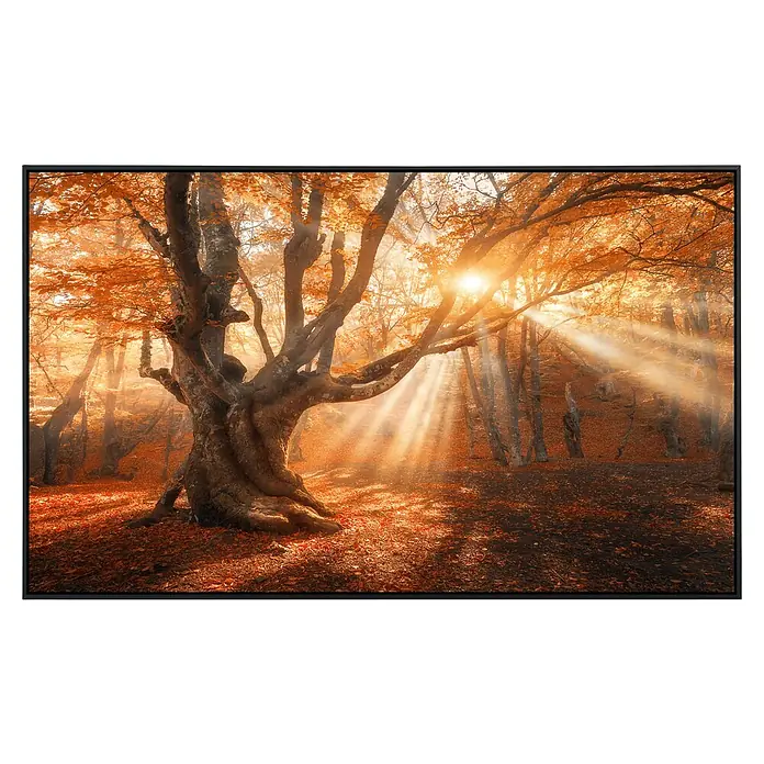 Papermoon Infrarot-Bildheizkörper Magischer alter Baum 2 - 120 x 60 cm, 1.200 W - Herbstlandschaft mit einem majestätischen Baum, durch den die Sonnenstrahlen scheinen, gerahmt.