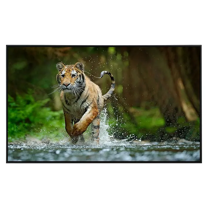 Papermoon Infrarot-Bildheizkörper Sibirischer Amurtiger - 120 x 60 cm, 1.200 W - Das Bild zeigt einen Tiger, der durch das Wasser läuft, wodurch Spritzer entstehen, die die Kraft und Beweglichkeit des Tieres betonen.