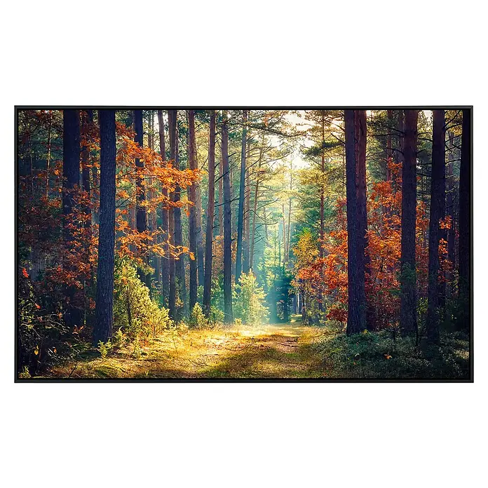 Papermoon Infrarot-Bildheizkörper Herbstwald Sonnenstrahlen120 x 75 cm, 900 W - Waldweg im Herbst. Die warmen Farben der Bäume und das sanfte Licht schaffen eine friedliche Atmosphäre.