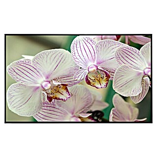 Papermoon Infrarot-Bildheizkörper Weiße Orchidee (120 x 60 cm, 750 W)