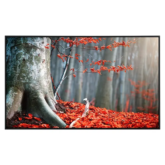 Papermoon Infrarot-Bildheizkörper Alter Herbstbaum - 100 cm x 600 mm, 600 W - TV-Gerät mit hochauflösendem Display, das ein lebendiges Herbstwaldszenario mit roten Blättern und Baumstämmen darstellt.
