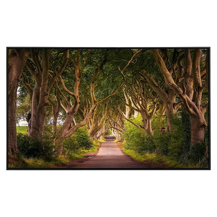 Papermoon Infrarot-Bildheizkörper Baumtunnel der dunklen Hecken - 90 x 50 cm, 450 W - The Dark Hedges, eine Allee aus Buchen, formen einen Tunnel über eine Straße, die an Game of Thrones erinnert. Mystisch und verwunschen.
