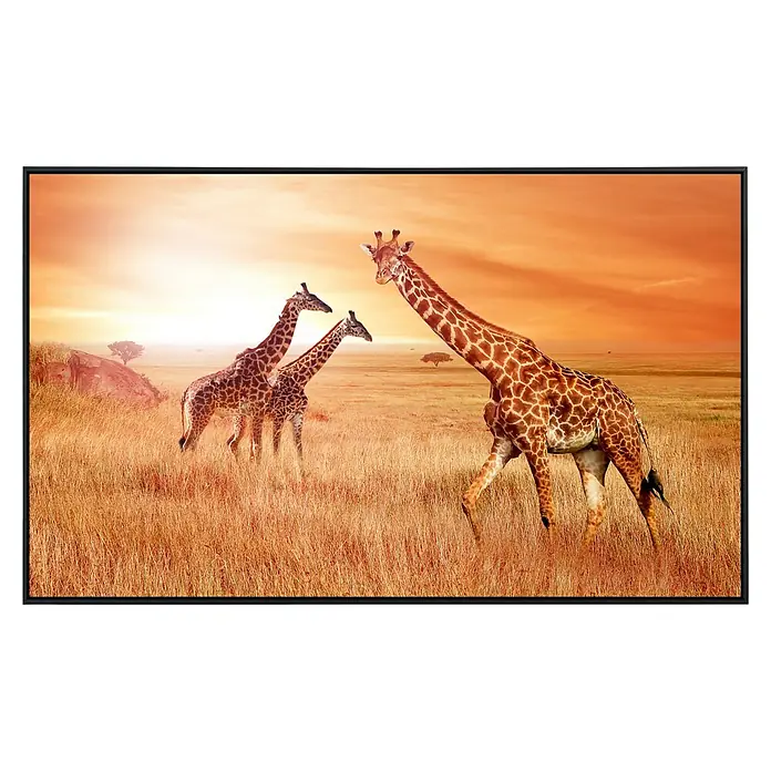 Papermoon Infrarot-Bildheizkörper Afrikanische Giraffen - 60 x 50 cm, 350 W - Ein gerahmtes Gemälde mit drei Giraffen in einer afrikanischen Savanne mit orangefarbenem Himmel und trockenem Gras im Vordergrund.