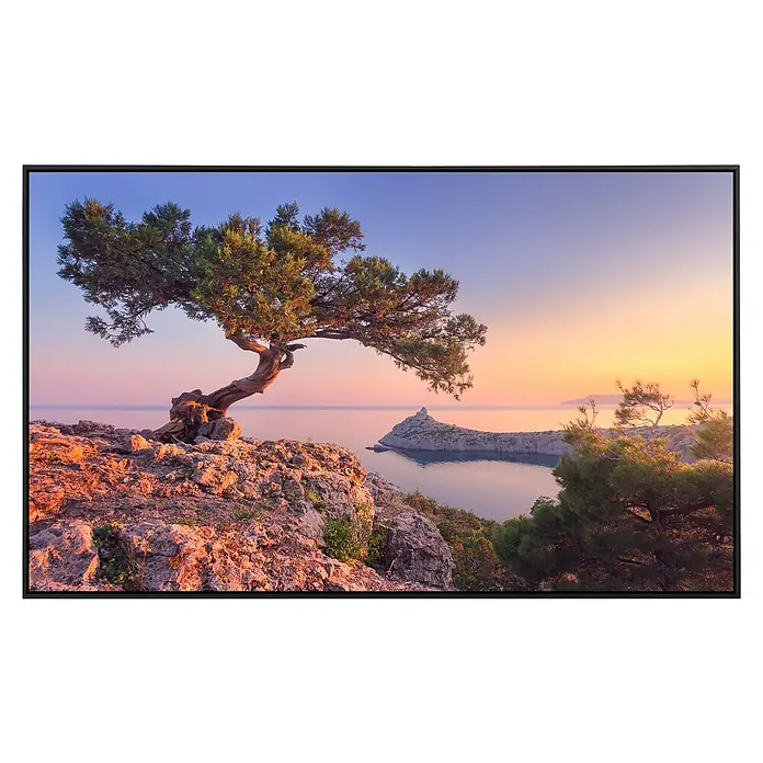 Papermoon Infrarot-Bildheizkörper Erstaunlicher Baum auf dem Felsen - 90 x 50 cm, 450 W - Bild eines stilvollen Fernsehers mit einem atemberaubenden Landschaftsbild, das für ein fesselndes Seherlebnis sorgt.