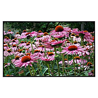 Papermoon Infrarot-Bildheizkörper Sommerblumen (120 x 60 cm, 750 W)