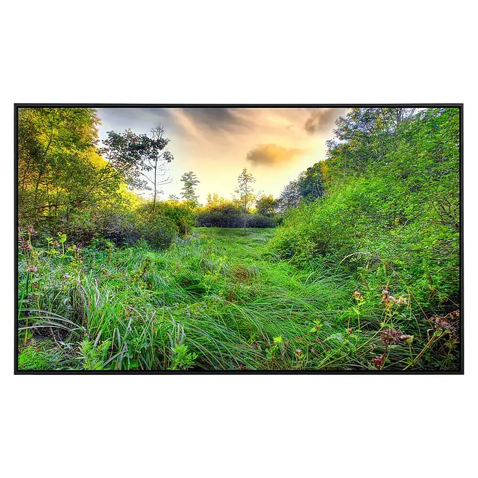 Papermoon Infrarot-Bildheizkörper Grüne Wiese - 100 x 60 cm, 600 W - Das Bild zeigt eine üppige, grüne Landschaft mit hohem Gras und Bäumen unter einem bewölkten Himmel, dargestellt auf einem modernen Bildschirm.