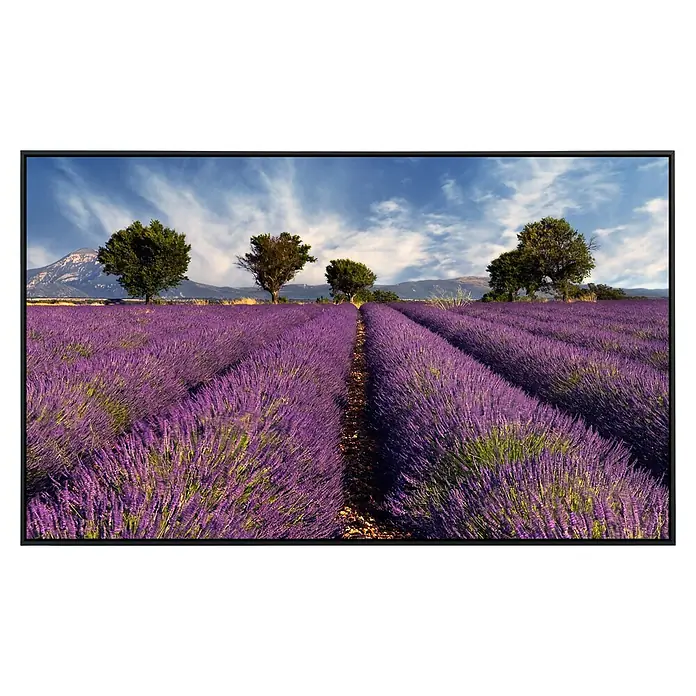 Papermoon Infrarot-Bildheizkörper Lavendelfeld 5 - 100 x 60 cm, 800 W - Ein TV-Gerät zeigt ein weites Lavendelfeld mit Bäumen unter einem blauen Himmel, das die lebendigen Farben und die Klarheit des Bildschirms hervorhebt.