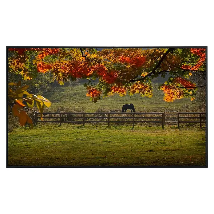 Papermoon Infrarot-Bildheizkörper Pferd auf der Weide - 120 x 60 cm, 1.000 W - Ein ruhiger Herbsttag auf dem Bauernhof mit einem Pferd hinter dem Holzzaun, umrahmt von bunten Blättern.