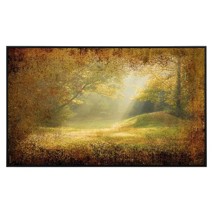 Papermoon Infrarot-Bildheizkörper Waldlichtung 2 - 60 x 50 cm, 350 W - Wunderschöne Kunst Leinwand mit Herbstlandschaft, die sanfte Sonnenstrahlen und üppige Natur in warmen Farben zeigt.