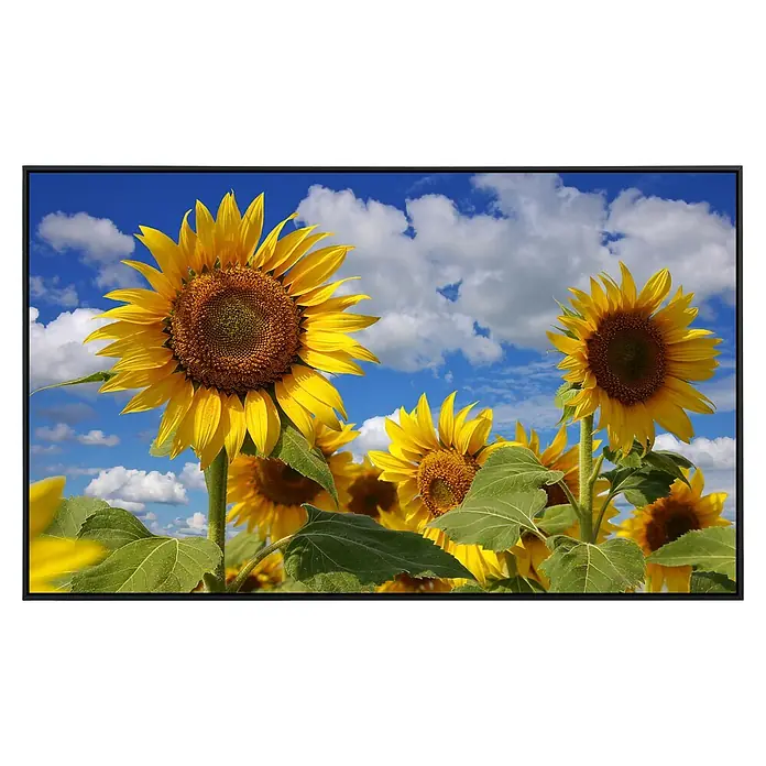 Papermoon Infrarot-Bildheizkörper Sonnenblumen 2 - 120 x 60 cm, 1.000 W - Nahaufnahme von leuchtenden Sonnenblumen vor einem strahlend blauen Himmel mit Wolken.