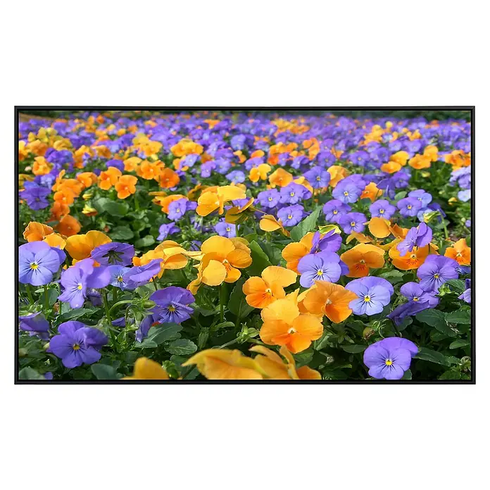 Papermoon Infrarot-Bildheizkörper Farbenfrohe Blumen - 90 x 50 cm, 450 W - Nahaufnahme von blauen und gelben Stiefmütterchen, die im Garten blühen, mit grünen Blättern, die einen farbenfrohen und natürlichen Kontrast bilden.