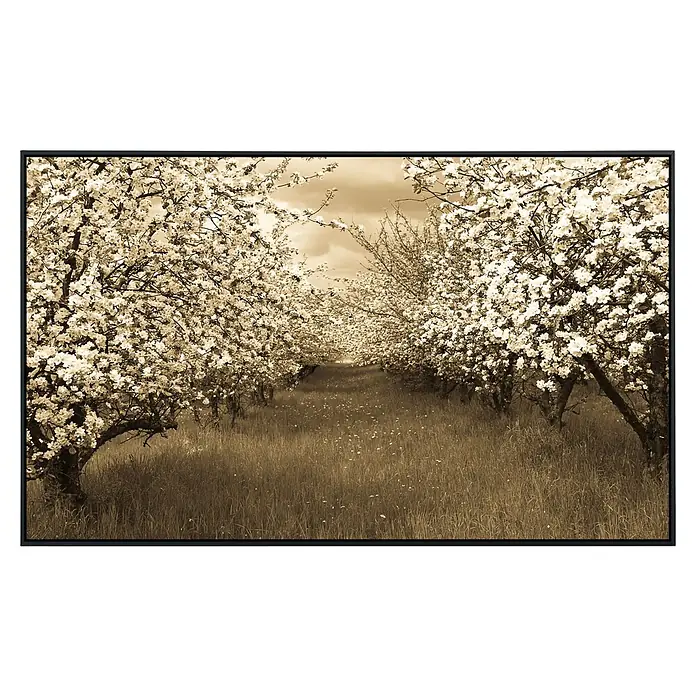 Papermoon Infrarot-Bildheizkörper Sepia Frühlingsobstgarten - 60 x 50 cm, 350 W - Sepiafarbenes Foto einer Obstbaumallee in voller Blüte. Die Bäume bilden einen blühenden Tunnel, während langes Gras den Weg säumt.