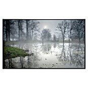 Papermoon Infrarot-Bildheizkörper Geheimnisvoller Wald (100 x 60 cm, 800 W) | BAUHAUS