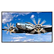 Papermoon Infrarot-Bildheizkörper Klassisches Vintage Flugzeug (120 x 75 cm, 900 W) | BAUHAUS