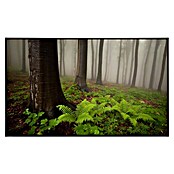 Papermoon Infrarot-Bildheizkörper Mystischer Wald (60 x 60 cm, 350 W) | BAUHAUS