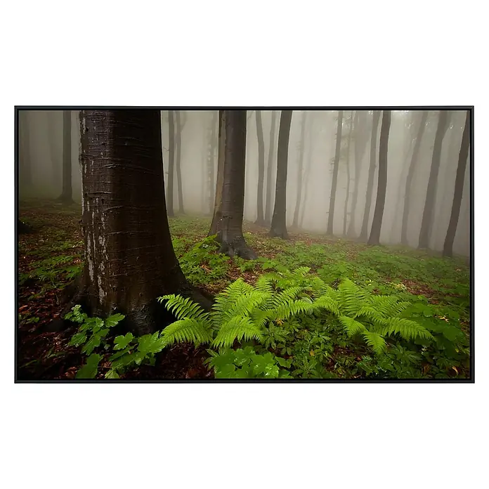 Papermoon Infrarot-Bildheizkörper Mystischer Wald - 120 x 60 cm, 1.200 W - Ein idyllischer Blick in einen nebligen Wald mit Farnen und Bäumen, eingefangen in einem atemberaubenden Landschaftsbild.