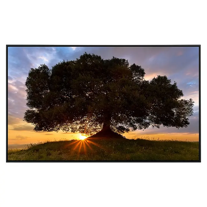 Papermoon Infrarot-Bildheizkörper Einsamer Baum - 60 x 50 cm, 350 W - Ein beeindruckendes Display, das einen Baum im Sonnenuntergang zeigt. Perfekt für Multimedia-Anwendungen mit lebendigen Farben.