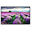 Papermoon Infrarot-Bildheizkörper Lavende Garten 2 (120 cm x 600 mm, 1 200 W) | BAUHAUS
