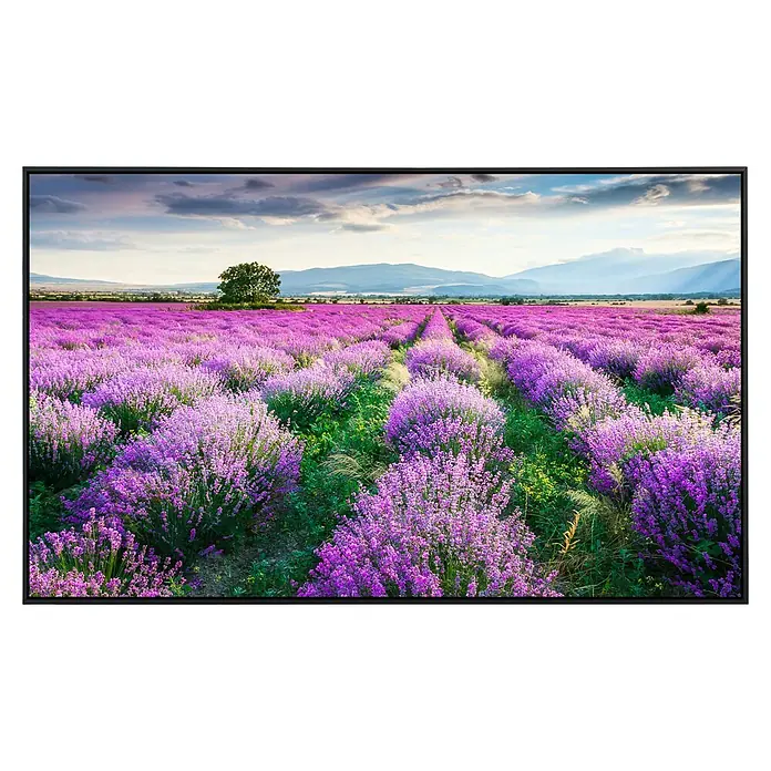 Papermoon Infrarot-Bildheizkörper Lavende Garten 2120 x 90 cm, 1.200 W - Nahaufnahme eines Monitors, der ein Lavendelfeld mit Bergen im Hintergrund und einem bewölkten Himmel anzeigt.