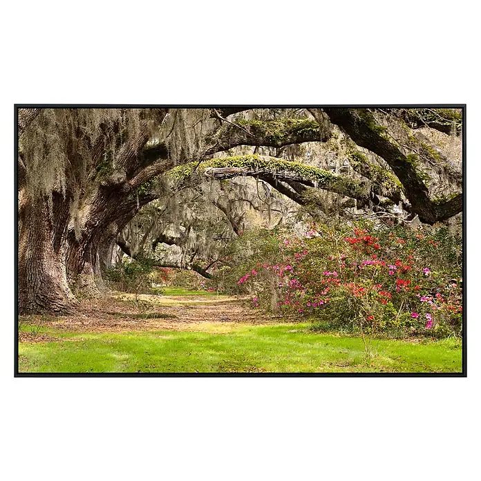 Papermoon Infrarot-Bildheizkörper Live Oak Tunnel - 60 cm x 500 mm, 350 W - Eine malerische Allee mit moosbedeckten Eichen und blühenden Azaleen bietet einen idyllischen Blick auf die Natur und Entspannung.
