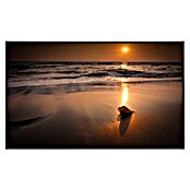 Papermoon Infrarot-Bildheizkörper Tropischer Strand Sonnenuntergang (120 x 60 cm, 750 W) | BAUHAUS