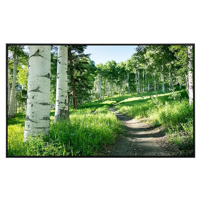 Papermoon Infrarot-Bildheizkörper Birkenbaumpfad - 100 x 60 cm, 800 W - Ein malerischer Waldweg schlängelt sich durch einen Hain von Espen und grüner Vegetation. Die Szene ist friedlich und einladend.