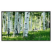 Papermoon Infrarot-Bildheizkörper Birkenwald 4 (120 x 60 cm, 1 000 W) | BAUHAUS