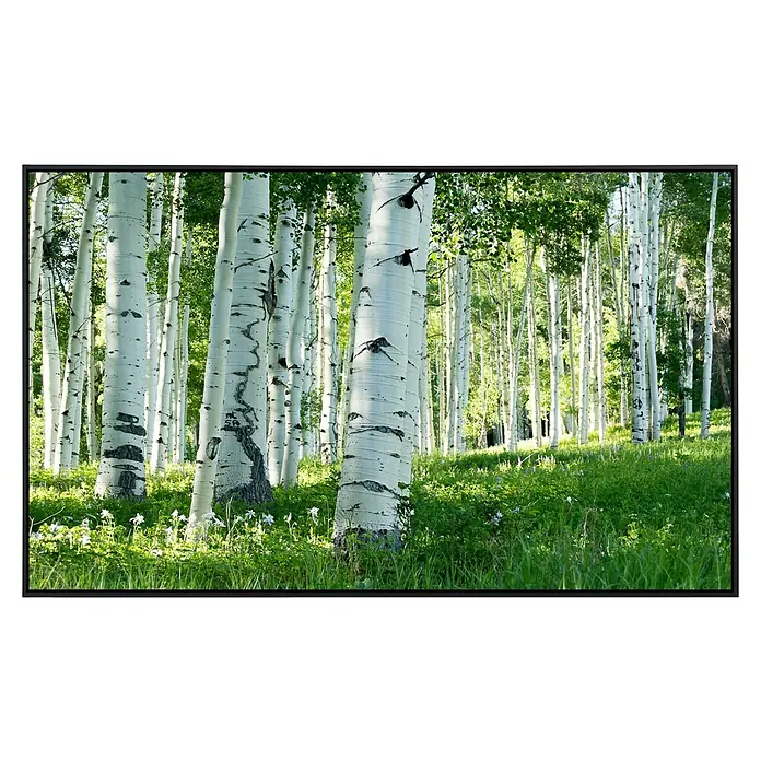 Papermoon Infrarot-Bildheizkörper Birkenwald 4 - 60 x 50 cm, 350 W - Helle Birkenstämme ragen in einem grünen Waldstück empor und erzeugen eine friedliche Waldszene mit blühenden Wildblumen.