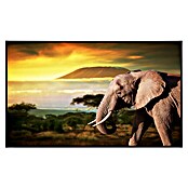 Papermoon Infrarot-Bildheizkörper Elefant von Kilimanjaro (80 x 60 cm, 450 W) | BAUHAUS