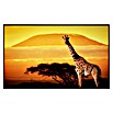 Papermoon Infrarot-Bildheizkörper Giraffe von Kilimanjaro (90 x 50 cm, 450 W) | BAUHAUS