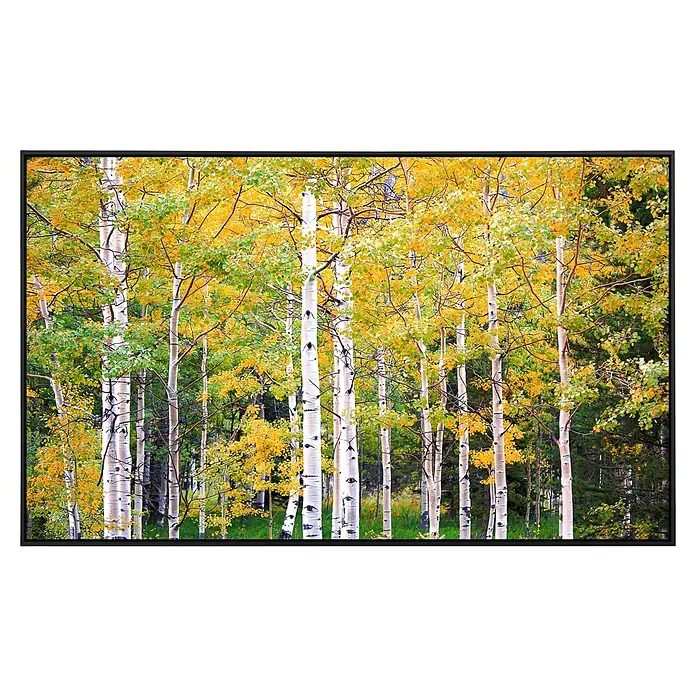 Papermoon Infrarot-Bildheizkörper Herbst Birkenwald 2 - 100 x 60 cm, 600 W - Bild eines Waldes mit Birken im Herbst, deren Blätter gelb und grün sind, gerahmt in einem schwarzen Rahmen für eine elegante Präsentation.