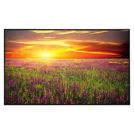 Papermoon  Infrarot-Bildheizkörper Blumenwiese Sonnenuntergang