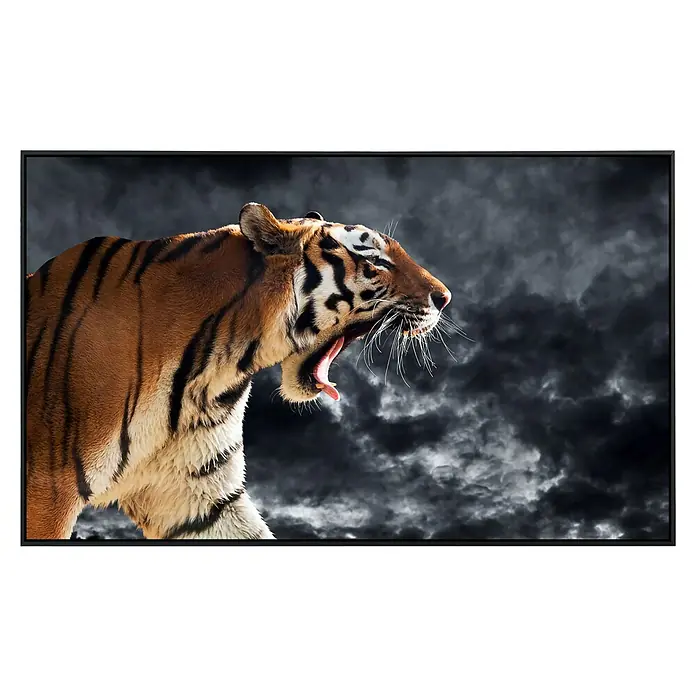 Papermoon Infrarot-Bildheizkörper Brüllender wilder Tiger - 60 x 50 cm, 350 W - Nahaufnahme eines brüllenden Tigers mit atemberaubendem Hintergrund. Das Bild ist in einem eleganten schwarzen Rahmen gehalten.