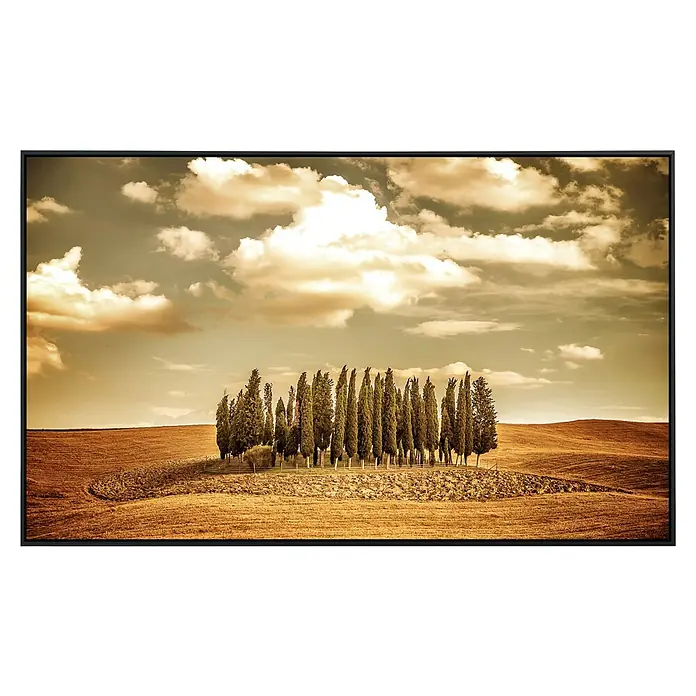 Papermoon Infrarot-Bildheizkörper Herbst Vintage Bäume - 120 x 60 cm, 1.200 W - Dieses Landschaftsgemälde zeigt eine Gruppe von Bäumen, die auf einem Feld unter einem bewölkten Himmel stehen.