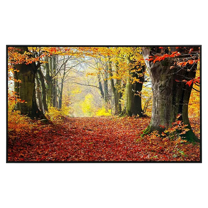 Papermoon Infrarot-Bildheizkörper Mystischer Herbstpfad - 60 x 50 cm, 350 W - Herbstliche Waldlandschaft mit einem Weg voller roter Blätter, umrahmt von Bäumen in warmen Herbstfarben, eingefasst in einen schwarzen Rahmen.