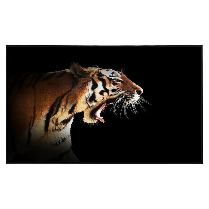 Papermoon Infrarot-Bildheizkörper Brüllender Tiger - 60 x 50 cm, 350 W - Nahaufnahme eines Bengal-Tigers mit offenem Maul und scharfen Zähnen vor einem dunklen Hintergrund.