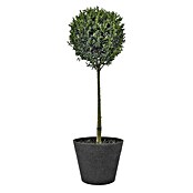 Geli Pflanztopf Napoli (30 cm, Anthrazit, Gerillt)