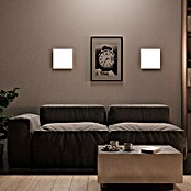 Ledvance SUN@Home LED-Panel Planon Frameless (20 W, L x B x H: 30 x 30 x 6,1 cm, Weiß, Kaltweiß) | BAUHAUS