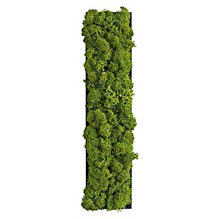 styleGreen Wandobjekt Piktogramm (Buchstabe I, L x B x H: 20 x 3,5 x 25 cm)