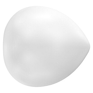 Tapa final Pauta (Blanco, 1 ud., Específico para: Barras para las cortinas de Ø 20 mm)