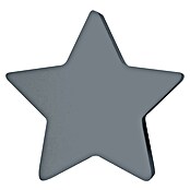 Tapa final Estrella (Gris, 1 ud., Específico para: Barras para las cortinas de Ø 20 mm) | BAUHAUS