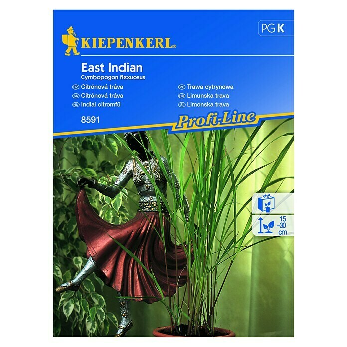 Kiepenkerl Profi-Line Sjeme začinskog bilja Limunska trava East Indian  (Cymbopogon flexuosus, Vrijeme sjetve: Cjelogodišnje, Berba: Cjelogodišnje) | BAUHAUS