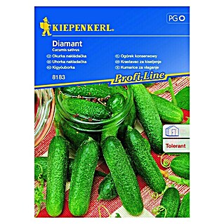 Kiepenkerl Zelenjavna semena kumarice za vlaganje Diamant (Cucumis sativus, Čas setve: Maj, Čas žetve: Julij)