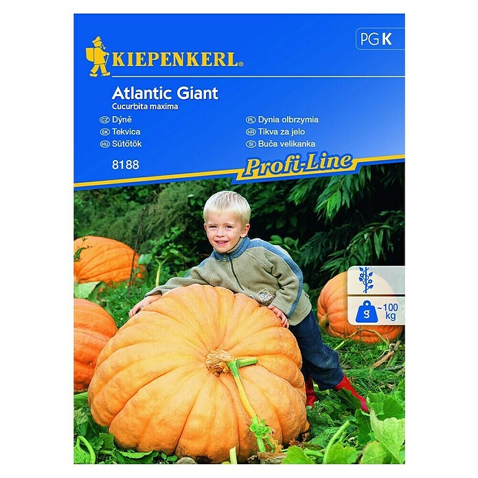 Kiepenkerl Sjeme povrća bundeva Atlantic Giant  (Cucurbita maxima, Vrijeme sjetve: Travanj) | BAUHAUS