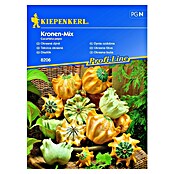 Kiepenkerl Profi-Line Sjeme povrća ukrasna tikva Kronen-Mix  (Cucurbita pepo, Berba: Rujan) | BAUHAUS