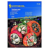 Kiepenkerl Sjeme povrća ukrasna tikva Turban-Mix  (Cucurbita maxima, Berba: Rujan) | BAUHAUS
